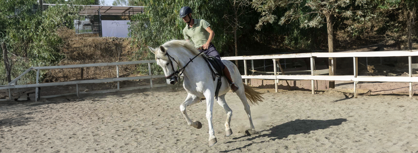 Instructor enseñando equitación en Cortijo del Arte