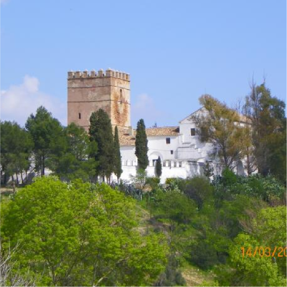Torre Ortegicar