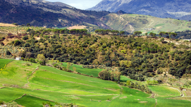 Un bello paisaje en Andalucía perfecto para rutas a caballo