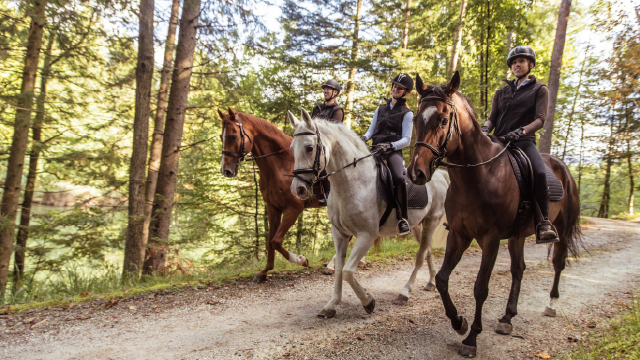 Jinetes disfrutando de unas vacaciones a caballo en una ruta por Andalucía