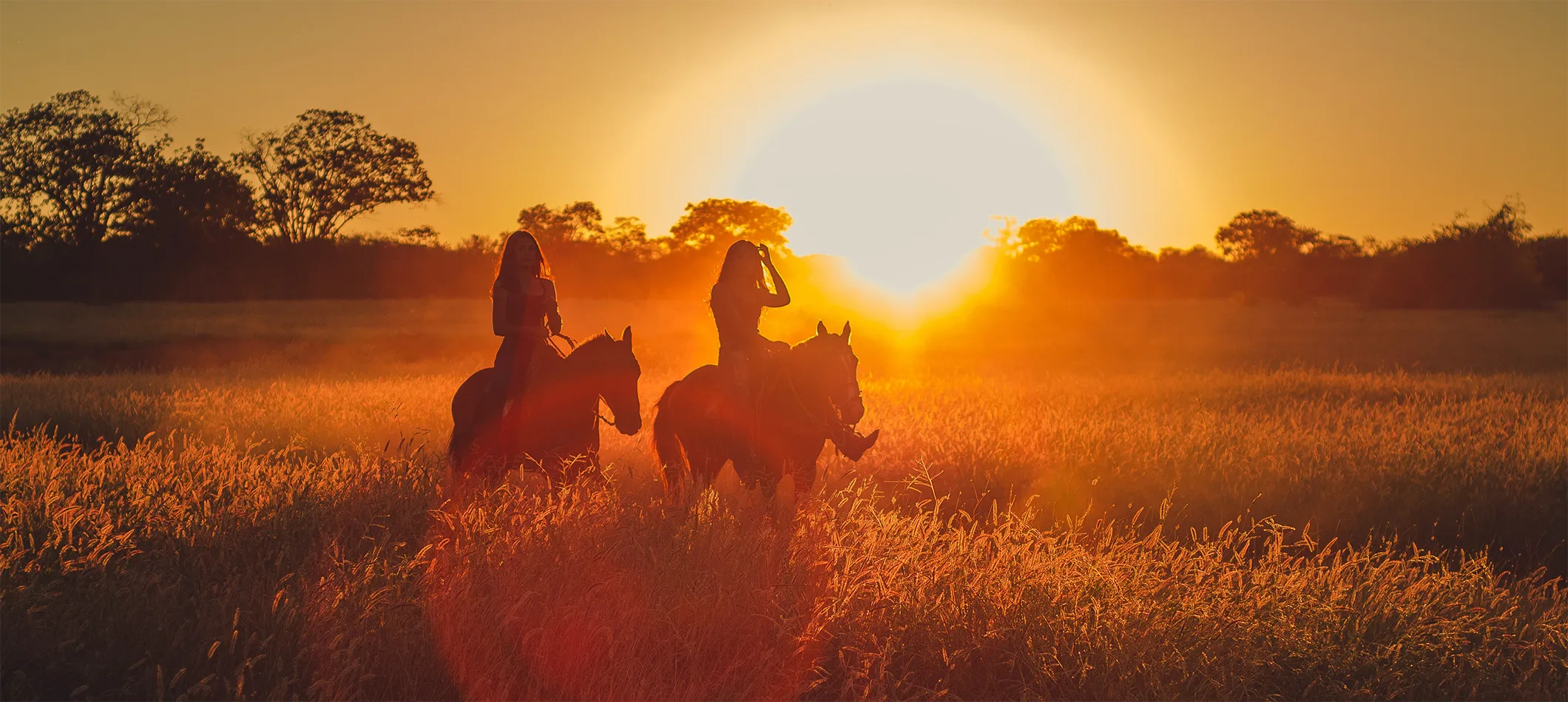 Explore the incredible Spanish countryside on horseback